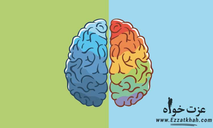 مهارت های لازم برای موفقیت در زندگی و کار